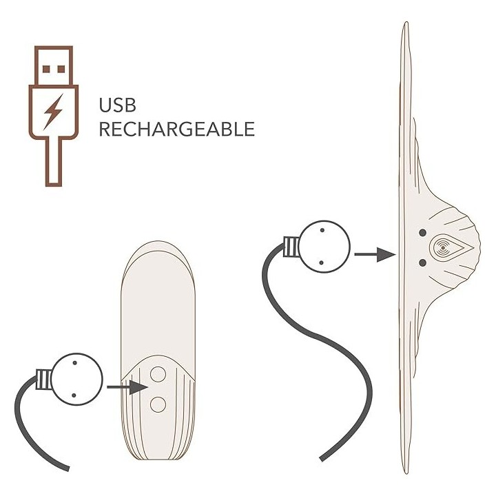 Recarga por USB para el control remoto y Niya N5