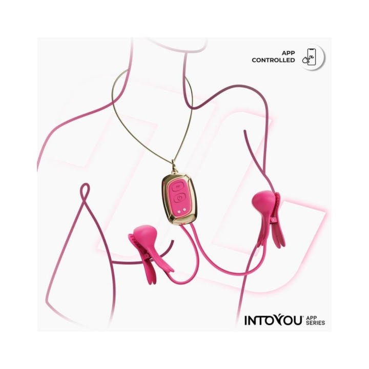 Imagen de las pizas puestas para su uso