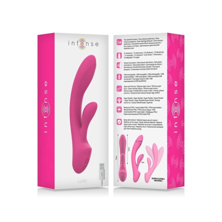 Packaging oficial del Luigi de Intense