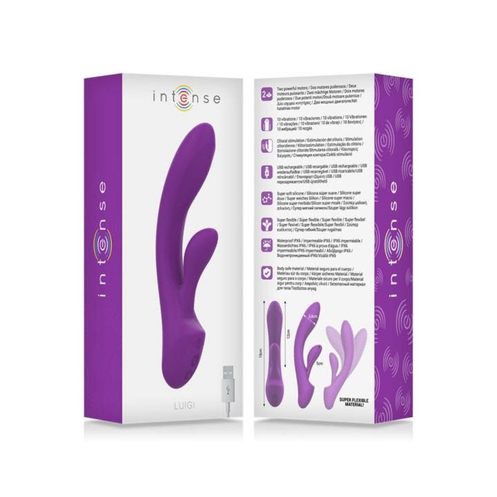 Packaging oficial del Luigi de Intense