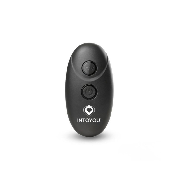 Control remoto del Lovit, para jugar con tu pareja en el momento que lo desees.