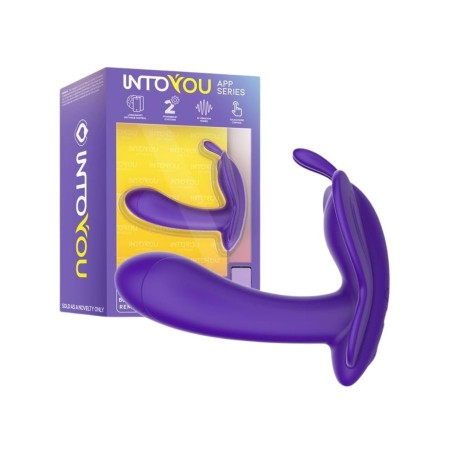 Packaging  del Wingy de Intoyou App Series de Intoyou.