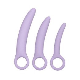 CALEXOTICS - DR LAURA BERMAN ALENA SET DE 3 DILATADOR VAGINAL SILICONA