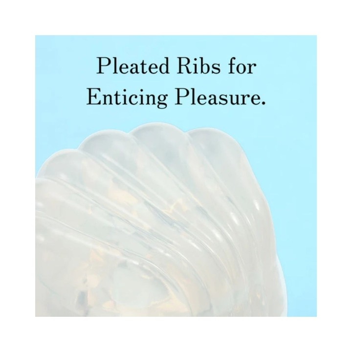 IROHA PETIT SHELL canarias